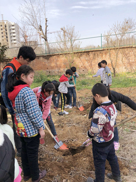 30684830063465049.jpg 30684830063465049.jpg